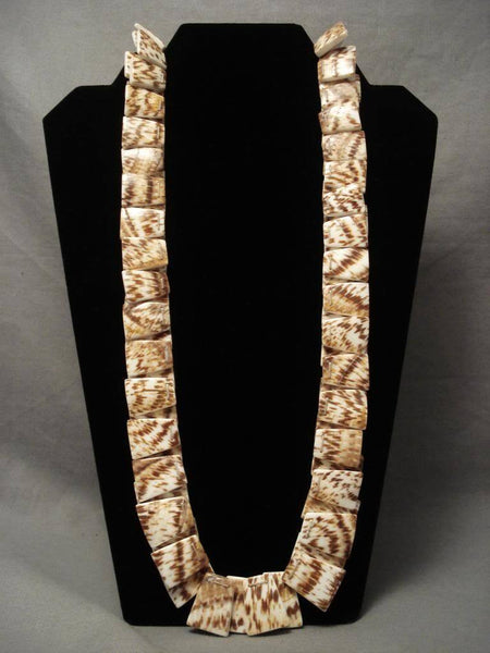 Museum Modernistic Santo Domingo squared Shell Necklace